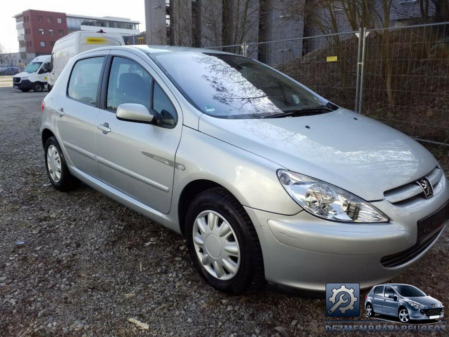 Amortizor capota peugeot 307 2003