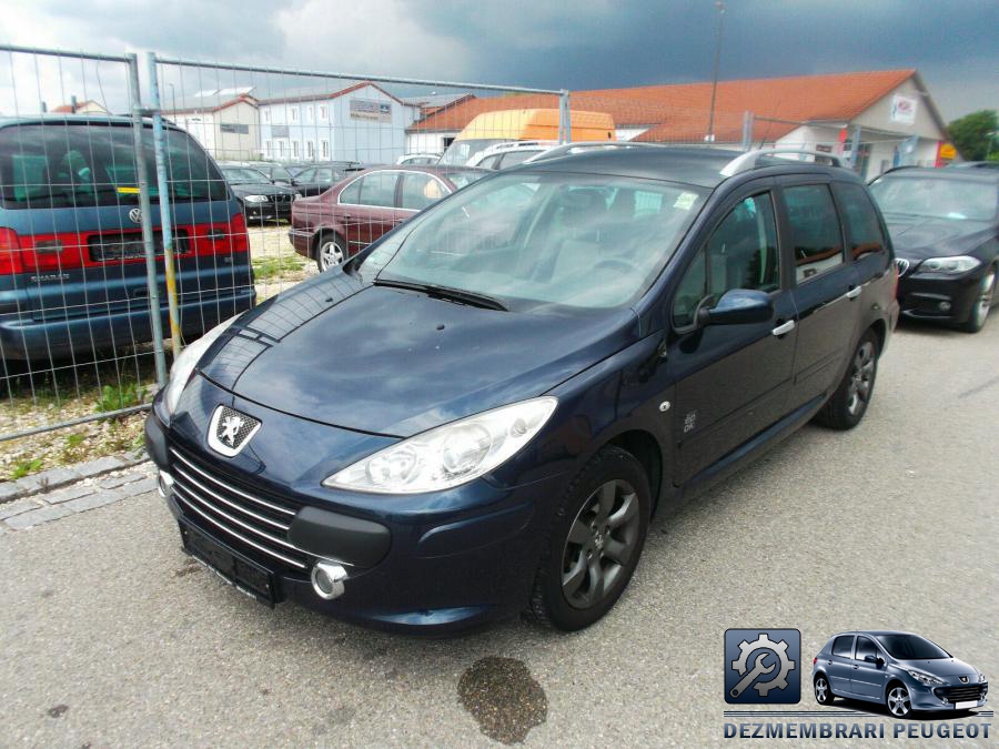 Arcuri peugeot 307 2006