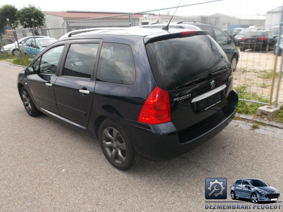 Arcuri peugeot 307 2006