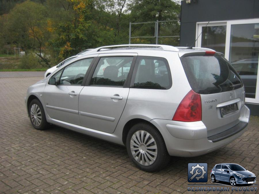 Ceasuri de bord peugeot 307 2008