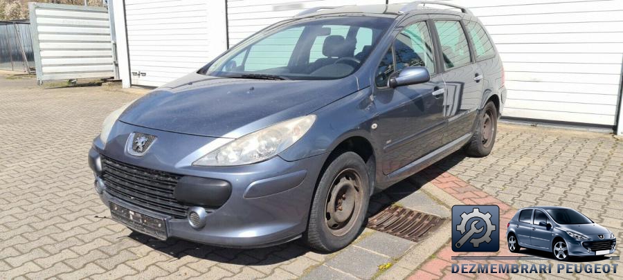 Plafon caroserie peugeot 307 2003