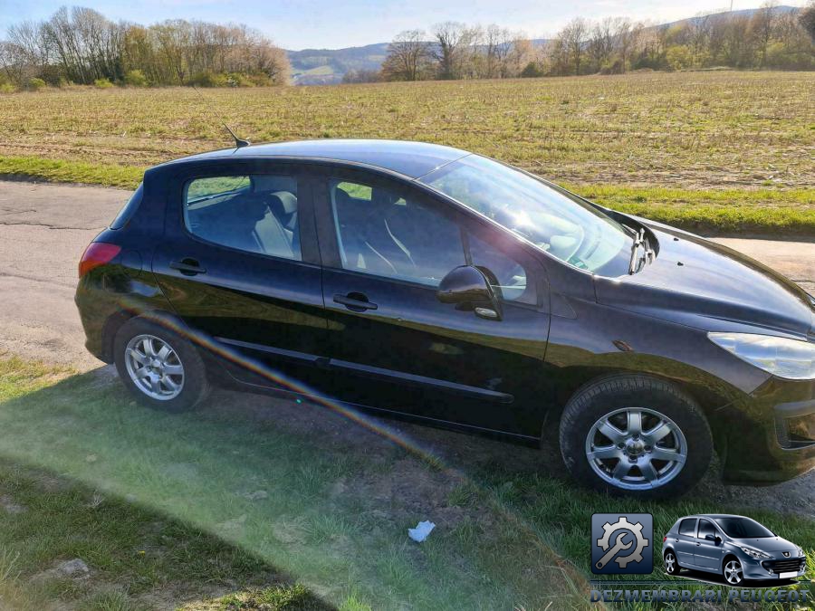 Praguri peugeot 308 2010