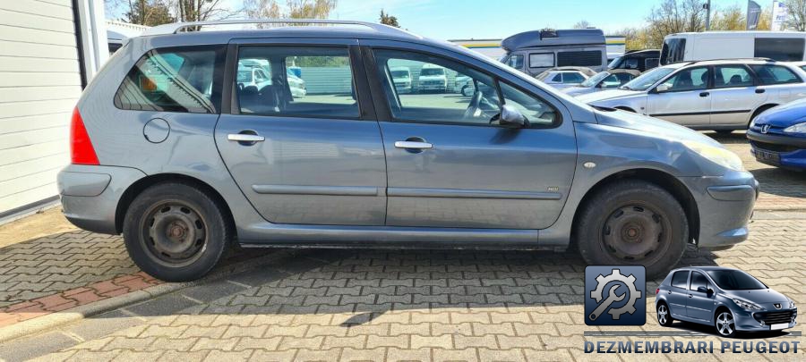 Semnalizari spate peugeot 307 2003