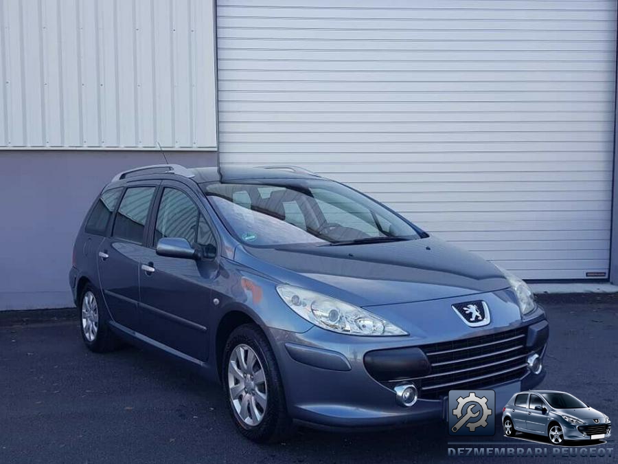 Semnalizari spate peugeot 307 2004