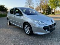 Motoras stergatoare peugeot 307 2006